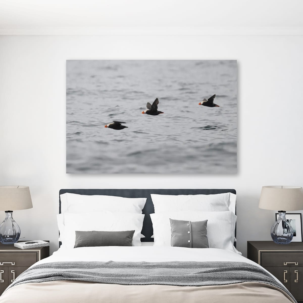 A Trilogy of Tufted Puffins