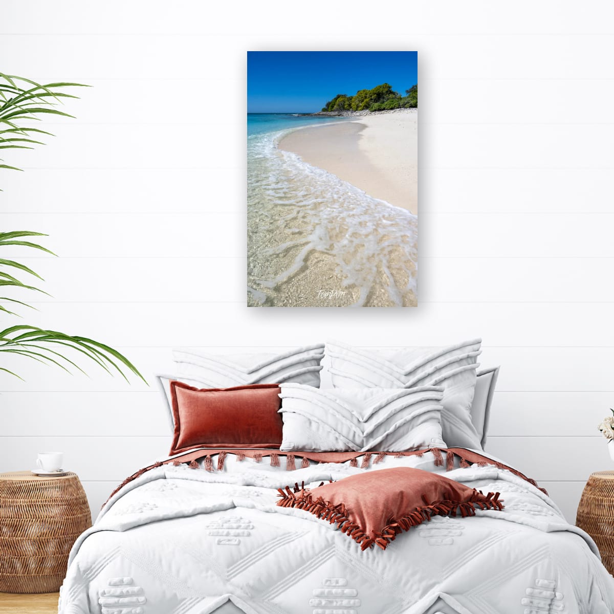 The Curve of the Shore