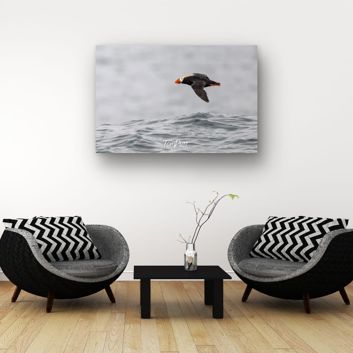 Wave Skimming Tufted Puffin