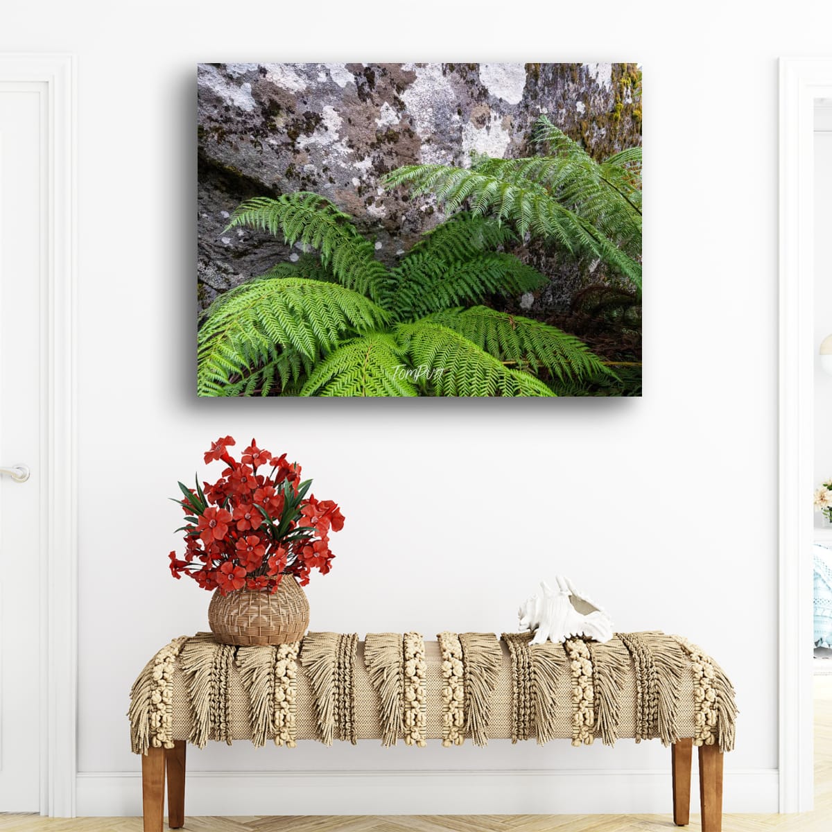 Ferns and Boulders, Mt Baw Baw