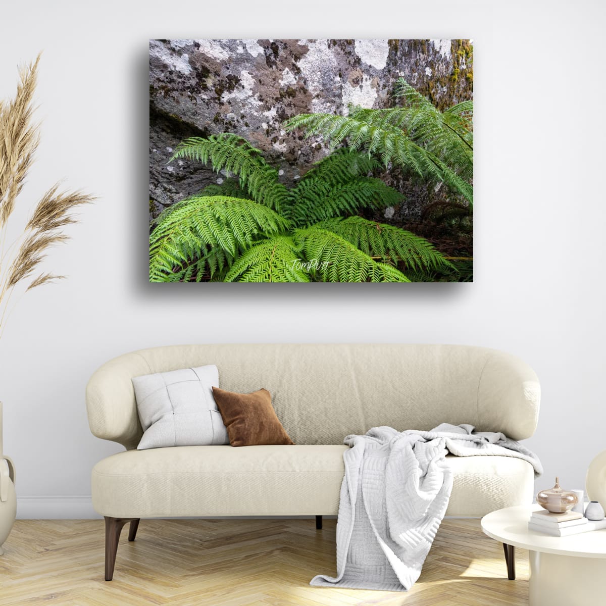 Ferns and Boulders, Mt Baw Baw