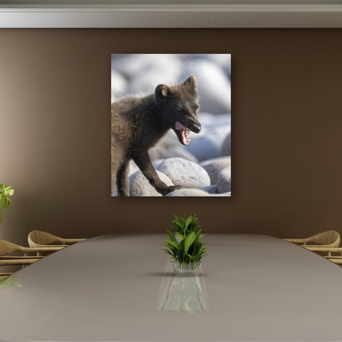 Anticipation: Artic Fox