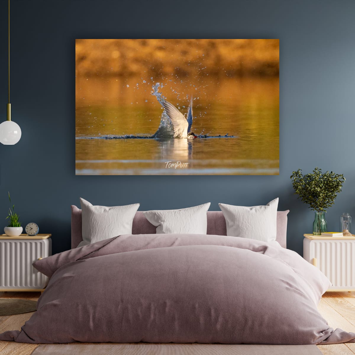 Fly Swimming. Whiskered Tern
