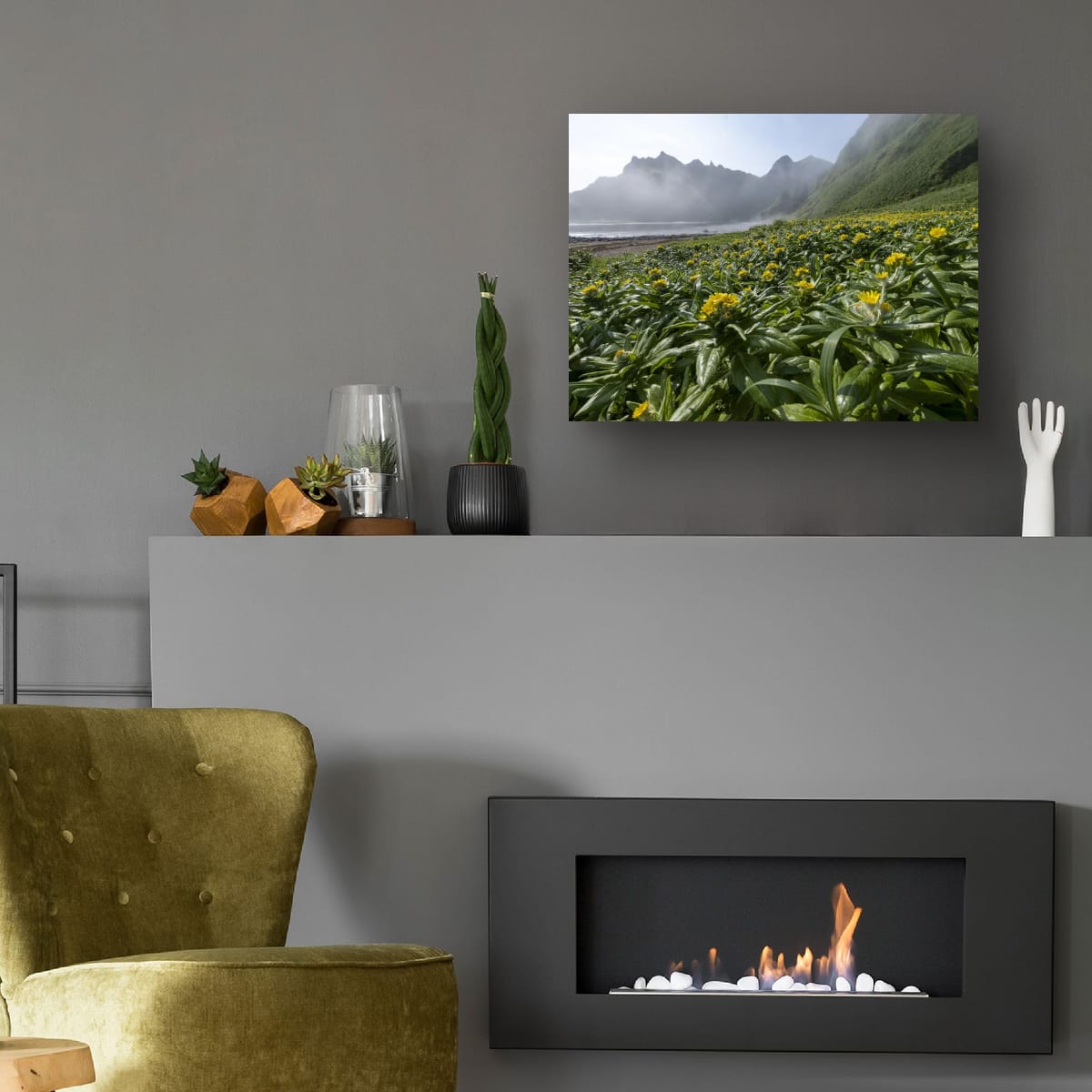Fields and Mountains