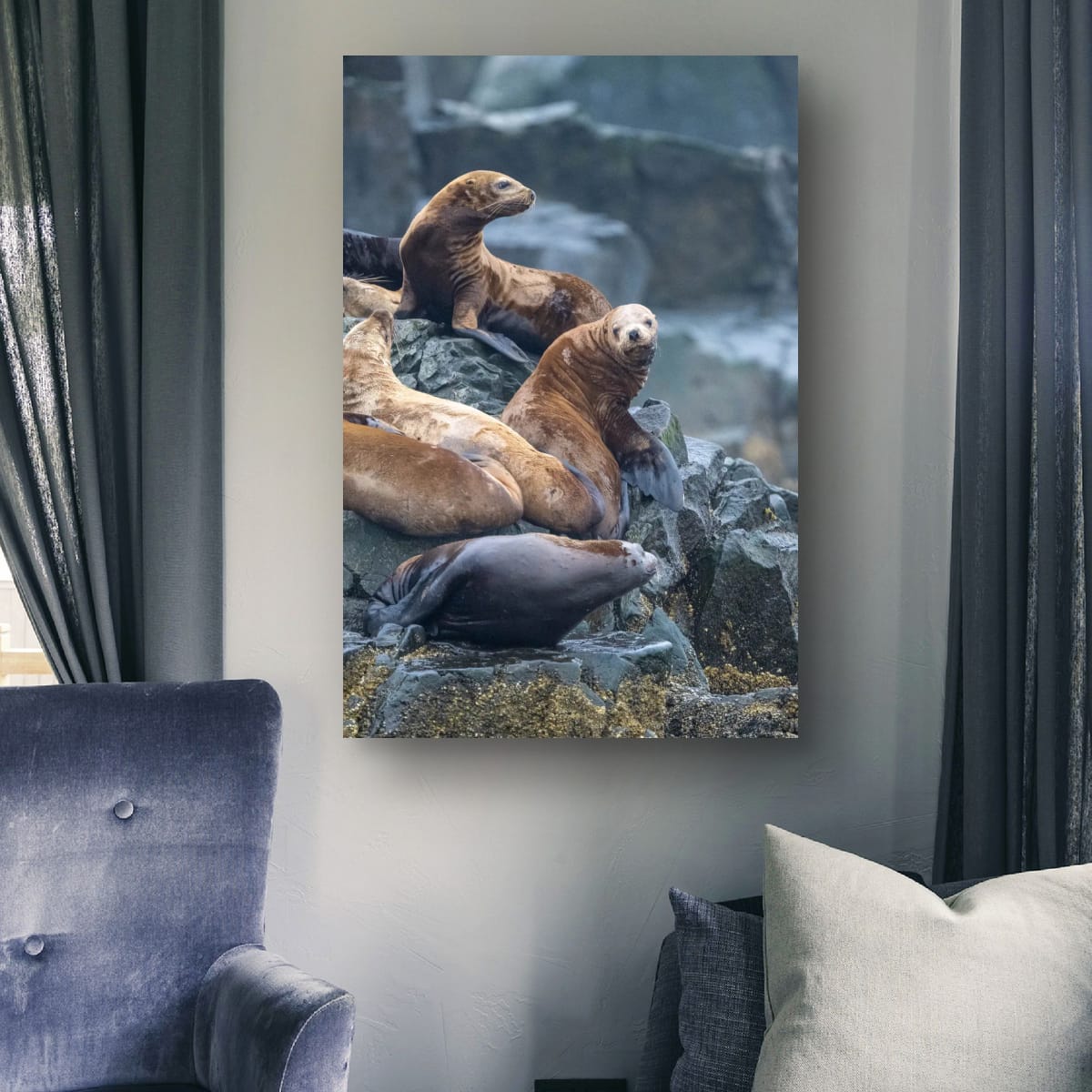 Rockside Vigil: Sea Lion