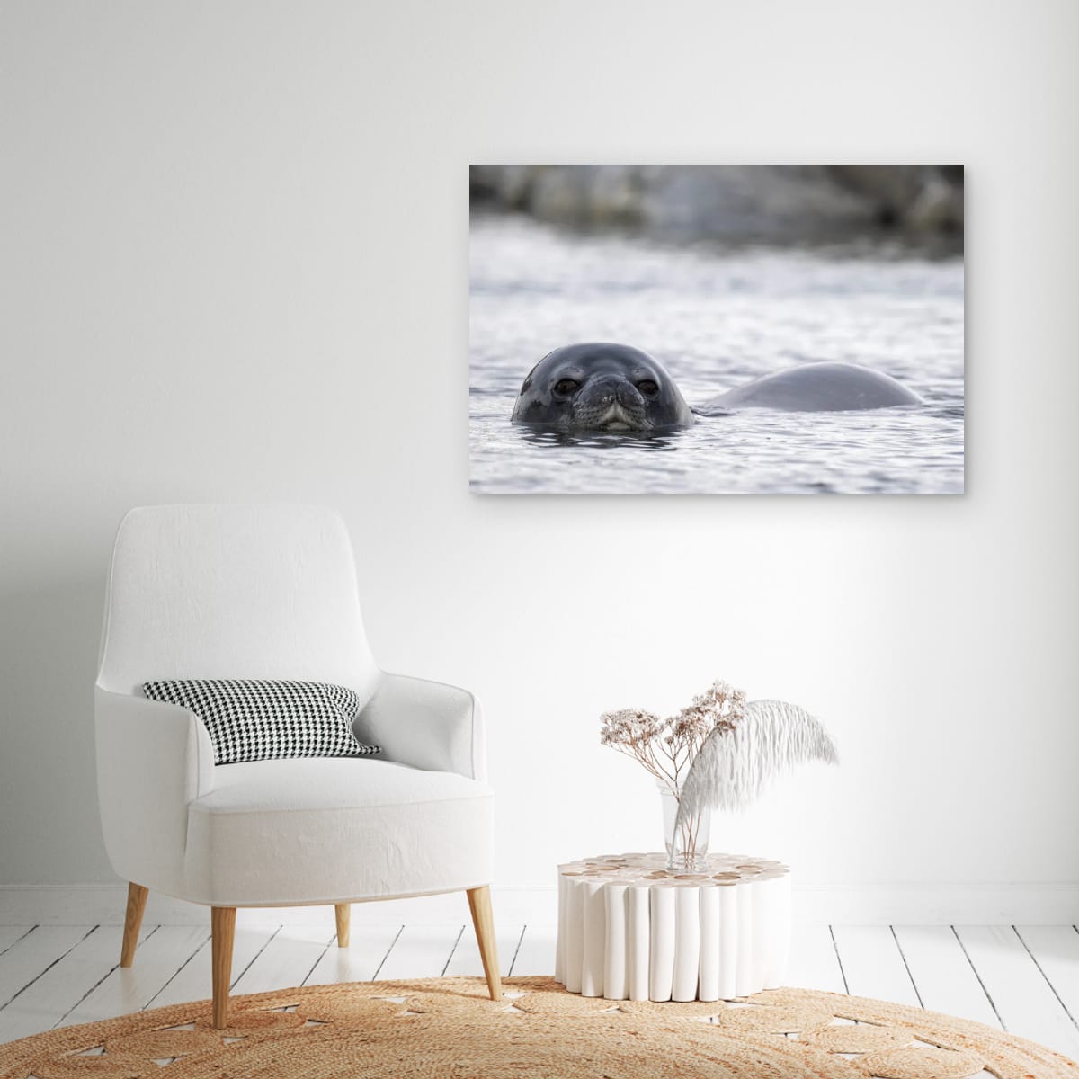 Ocean Watcher, Antarctica