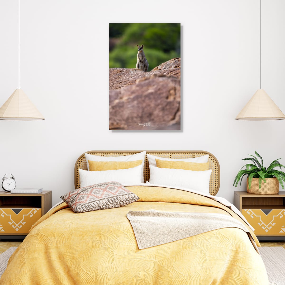 Lookout. Purple-Necked Rock Wallaby