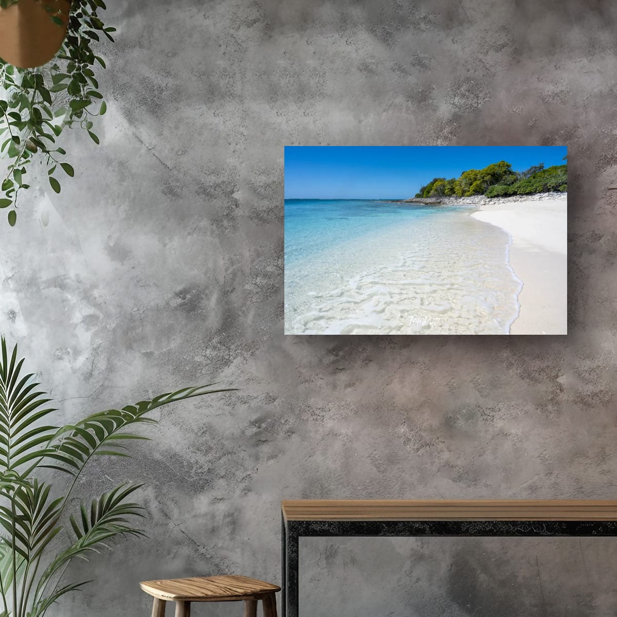 Solitude: Wilson Island