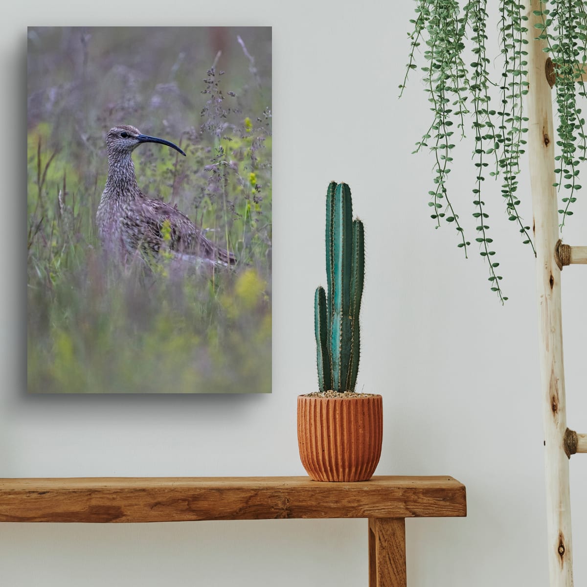 On Alert. Whimbrel