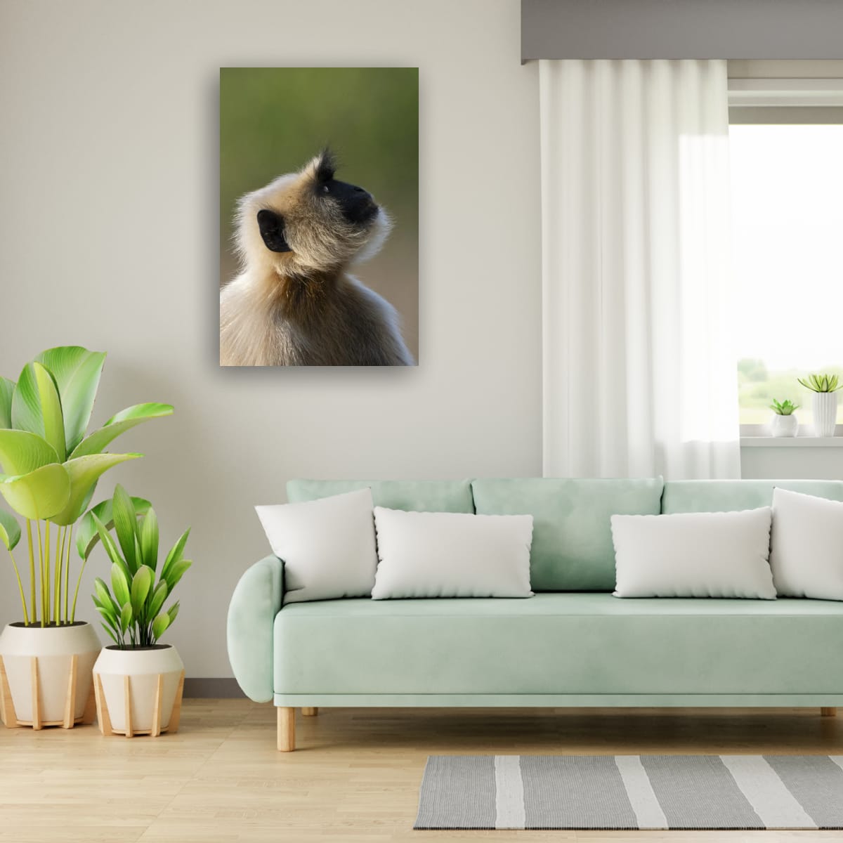 Monkey in Profile, India