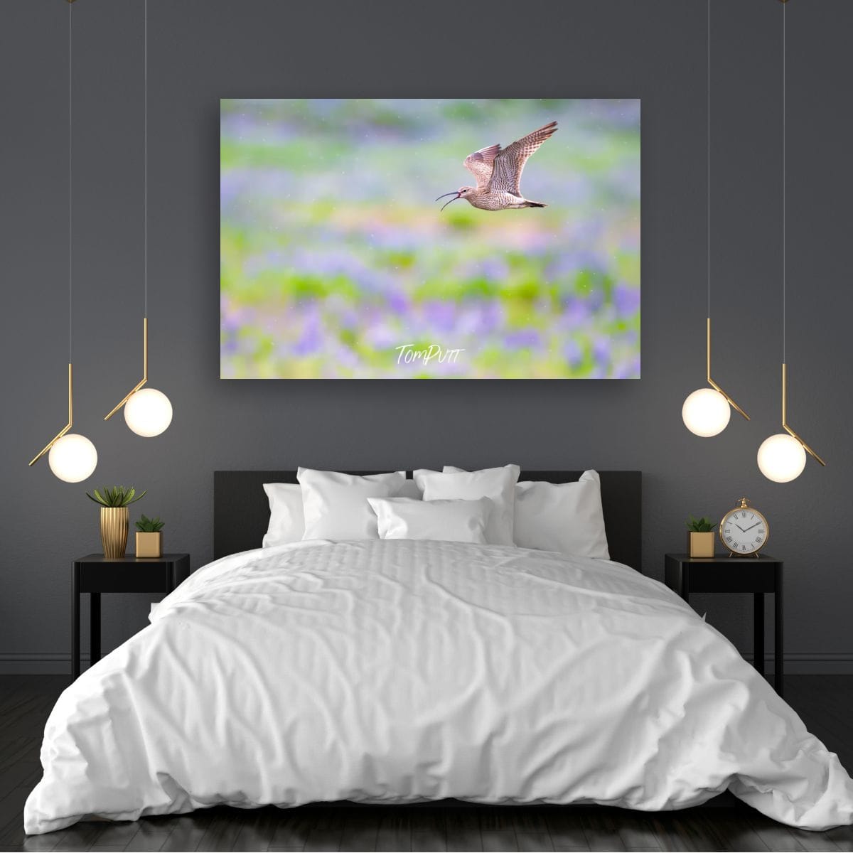 Flight Song. Whimbrel