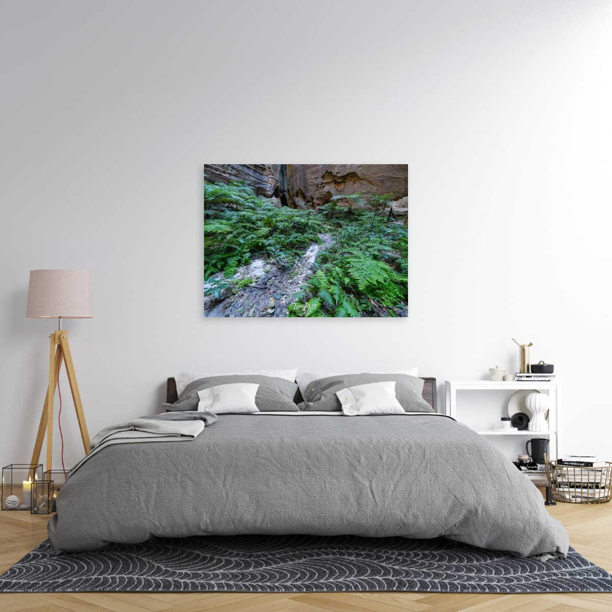 Fern Covered, Carnarvon Gorge