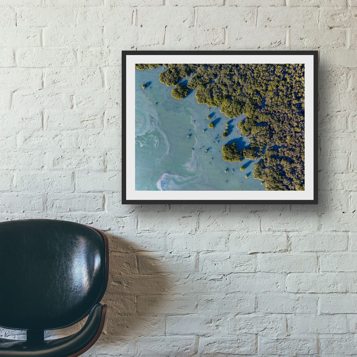 Mangroves, Western Port Bay