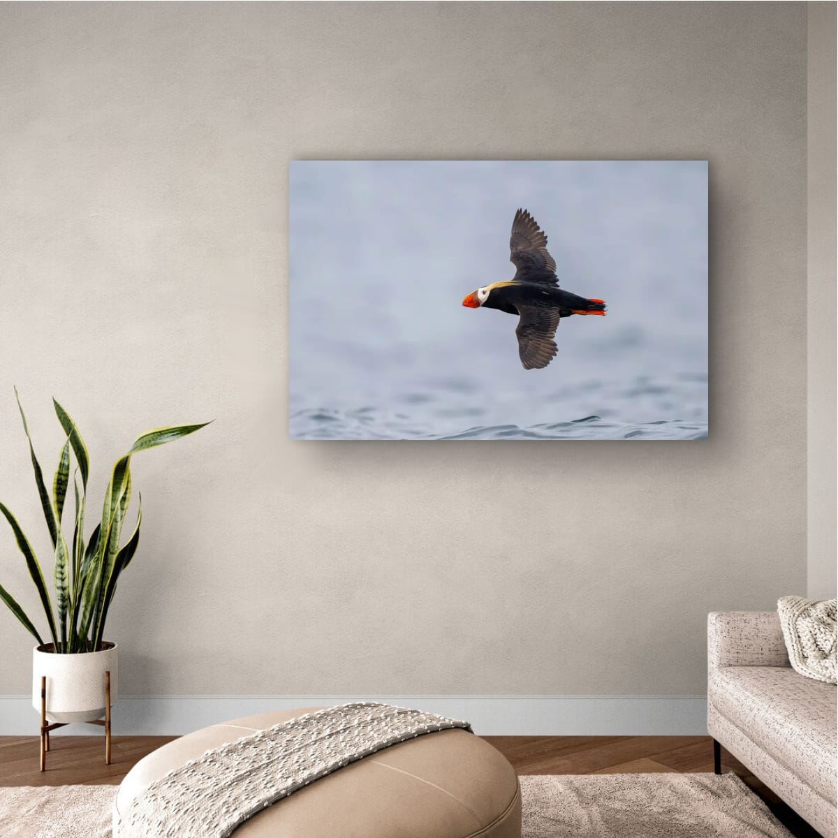 Crimson Tips: Tufted Puffin