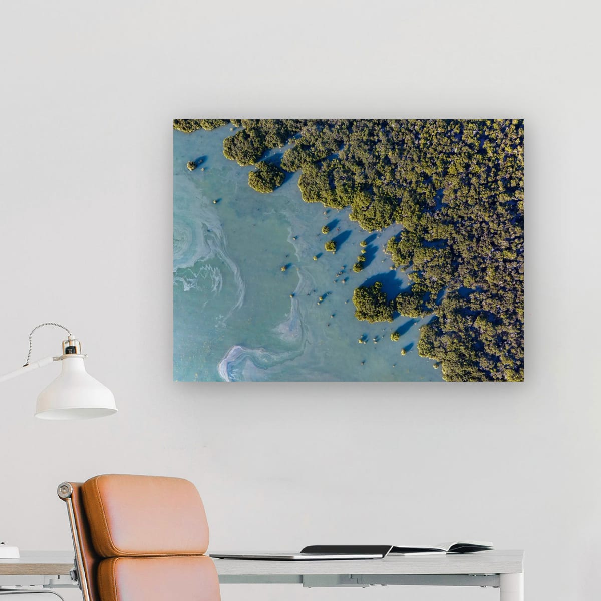 Mangroves, Western Port Bay