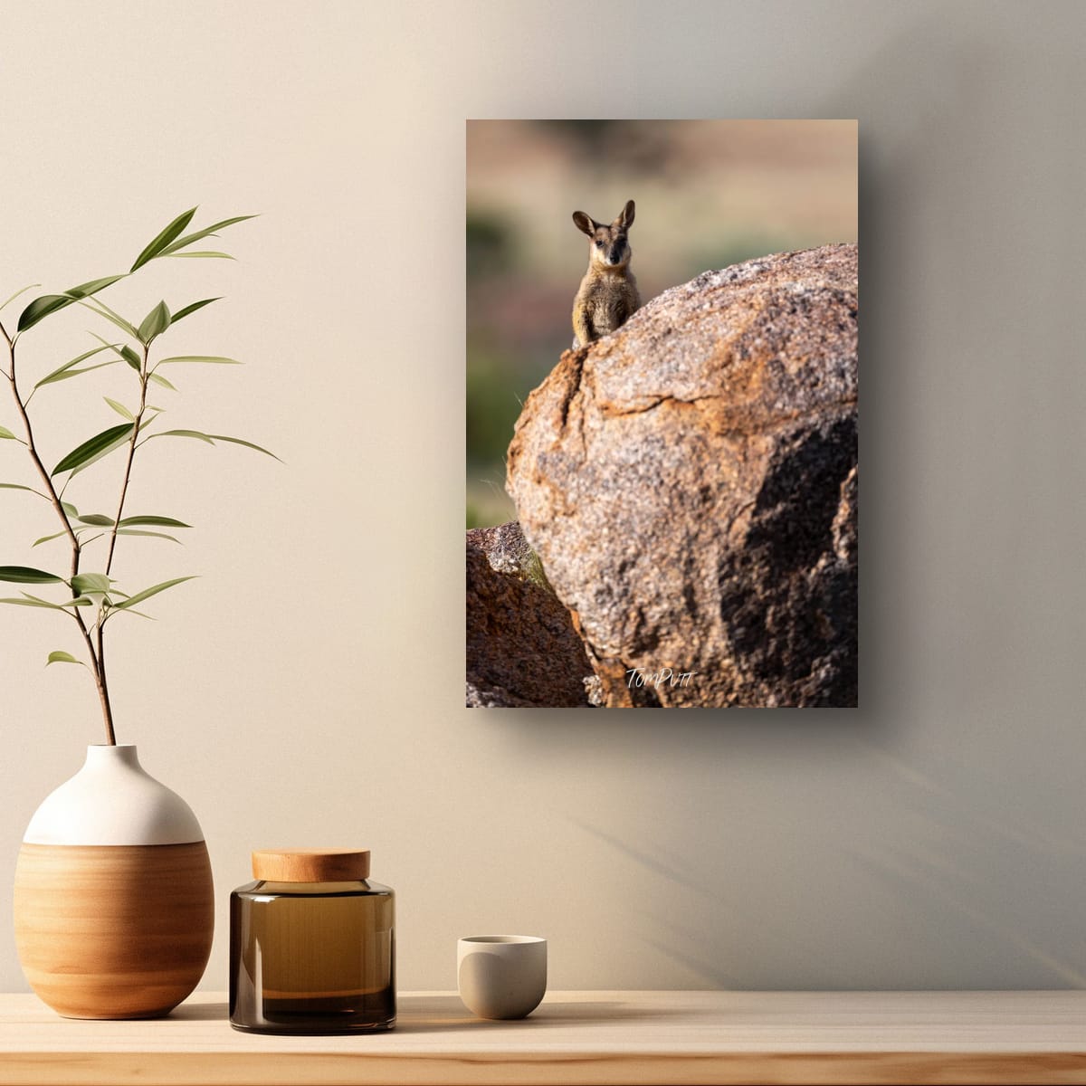 Blend In. Purple-Necked Rock Wallaby