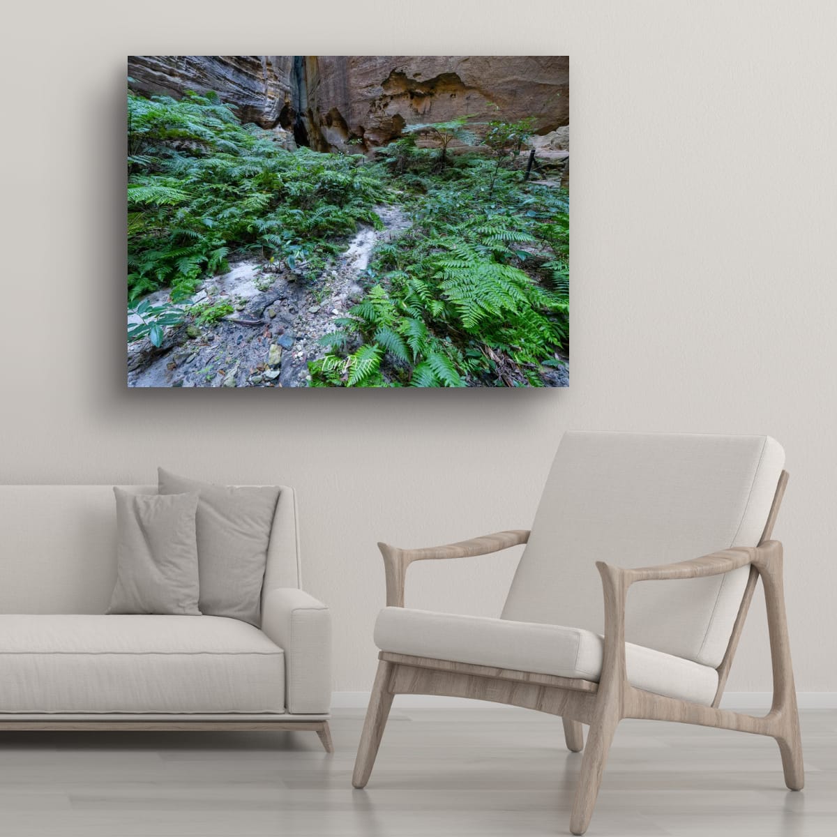 Fern Covered, Carnarvon Gorge