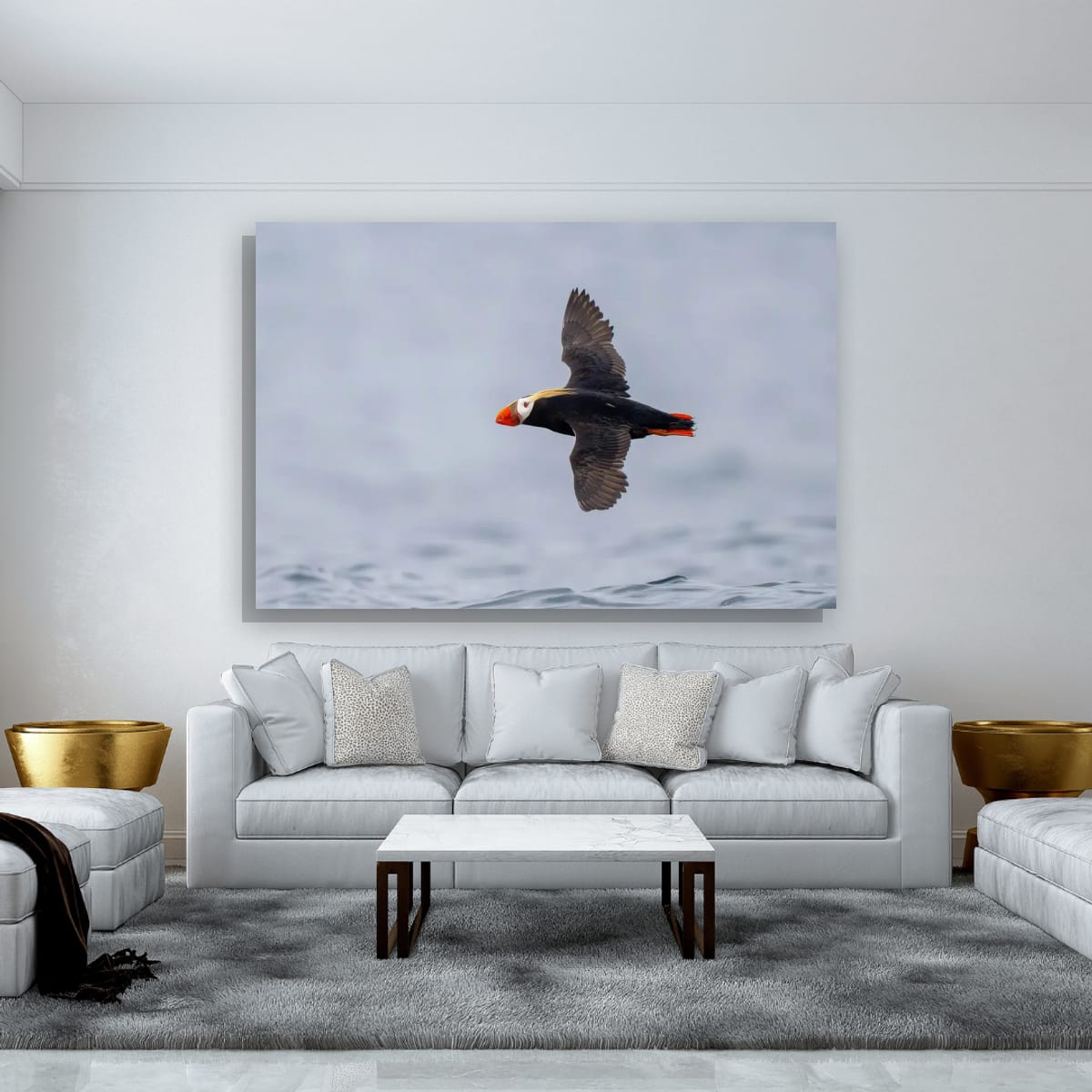 Crimson Tips: Tufted Puffin