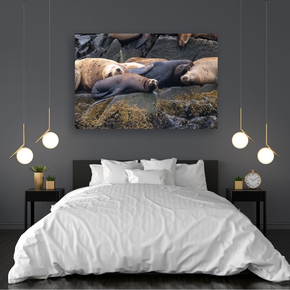 Saltwater Siesta: Sea Lion