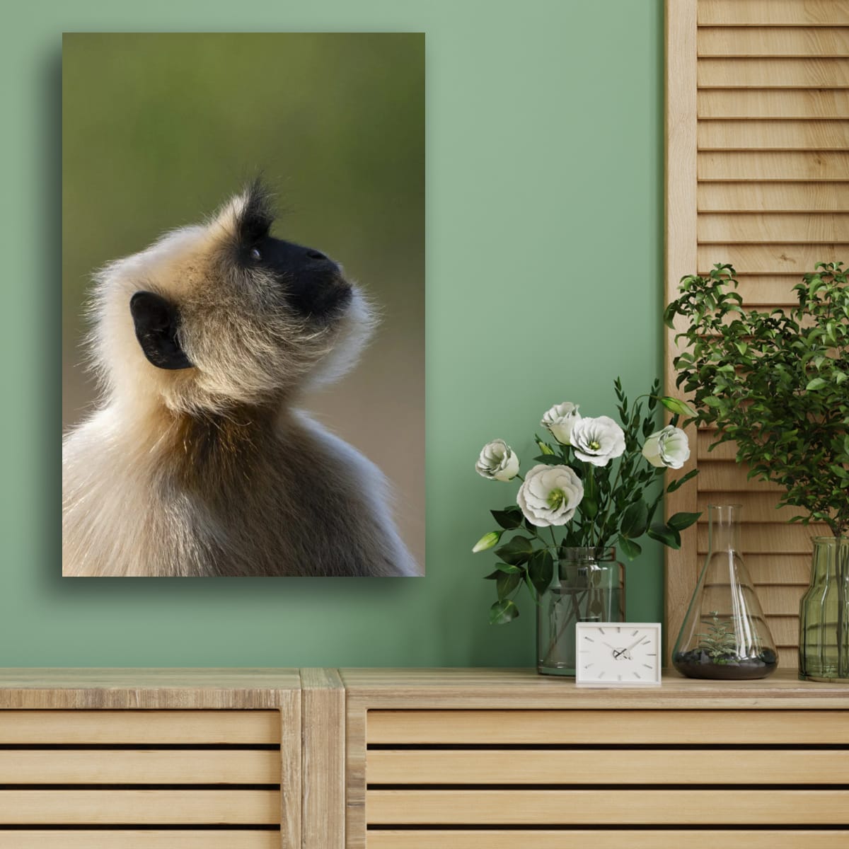 Monkey in Profile, India