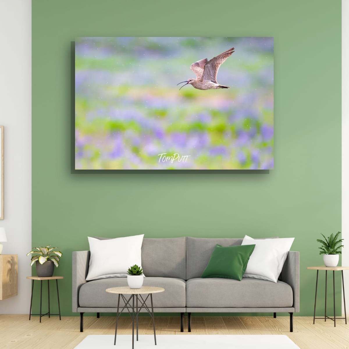 Flight Song. Whimbrel