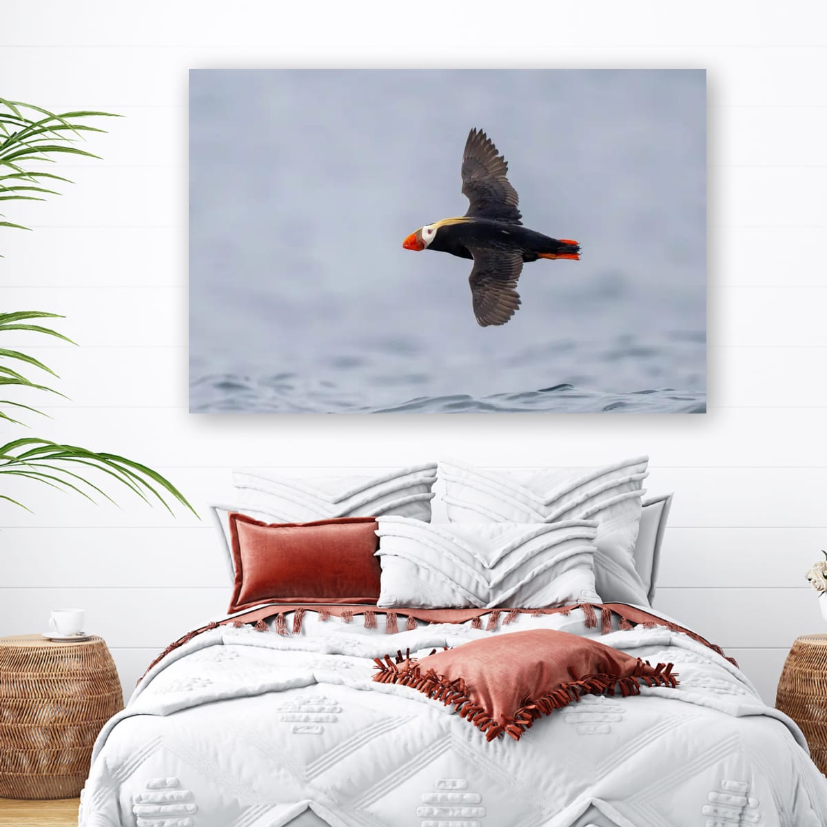 Crimson Tips: Tufted Puffin