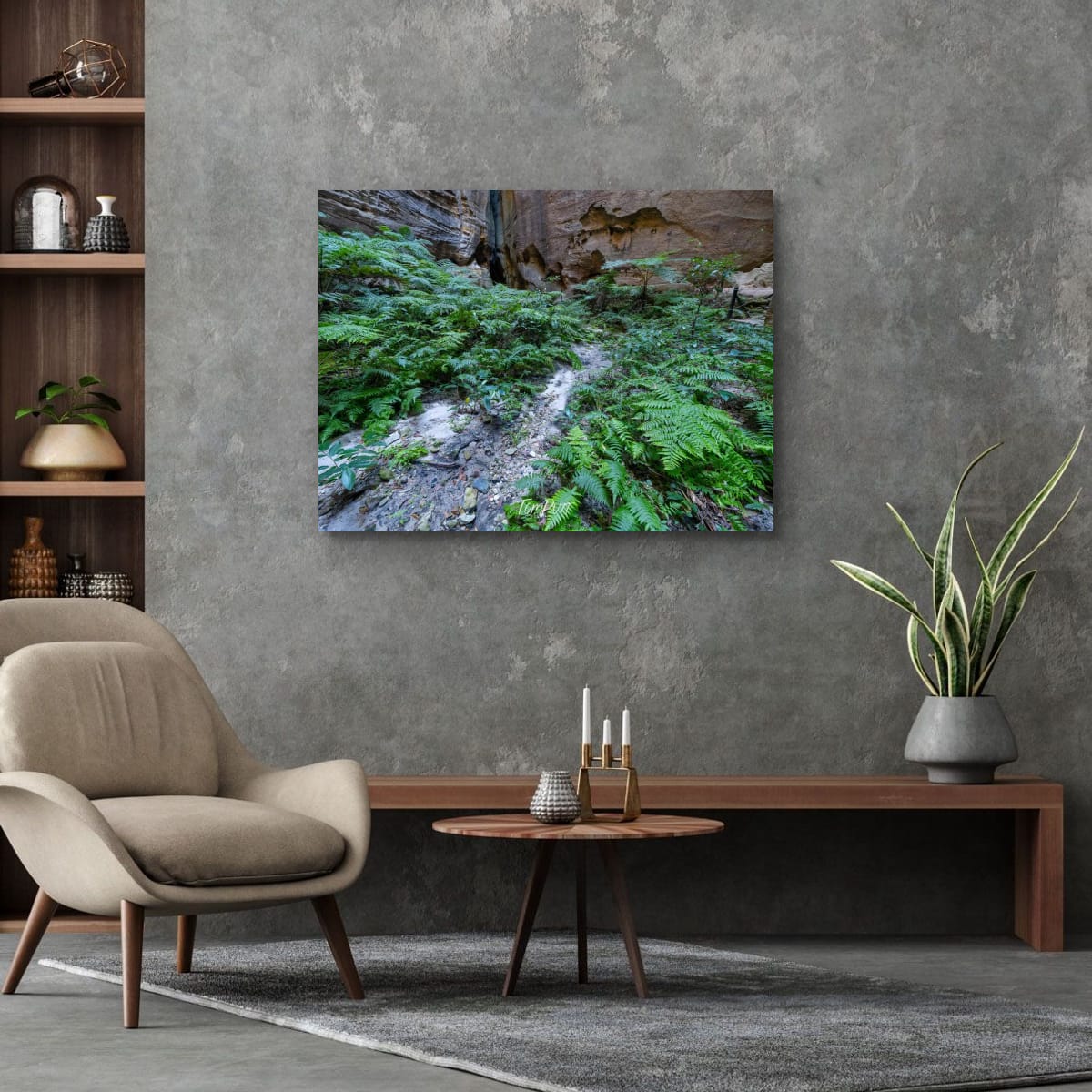 Fern Covered, Carnarvon Gorge