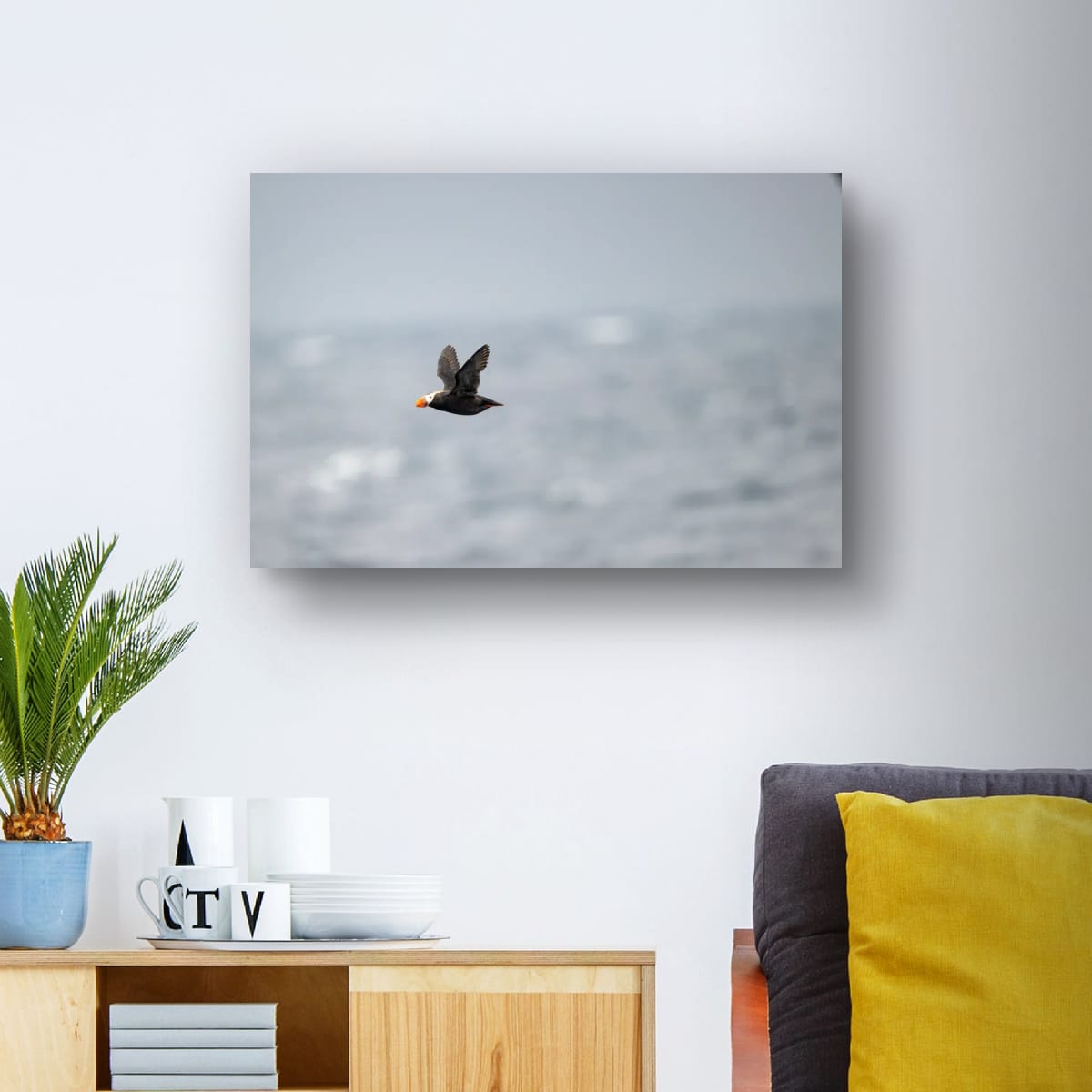 Arctic Flight: Tufted Puffin