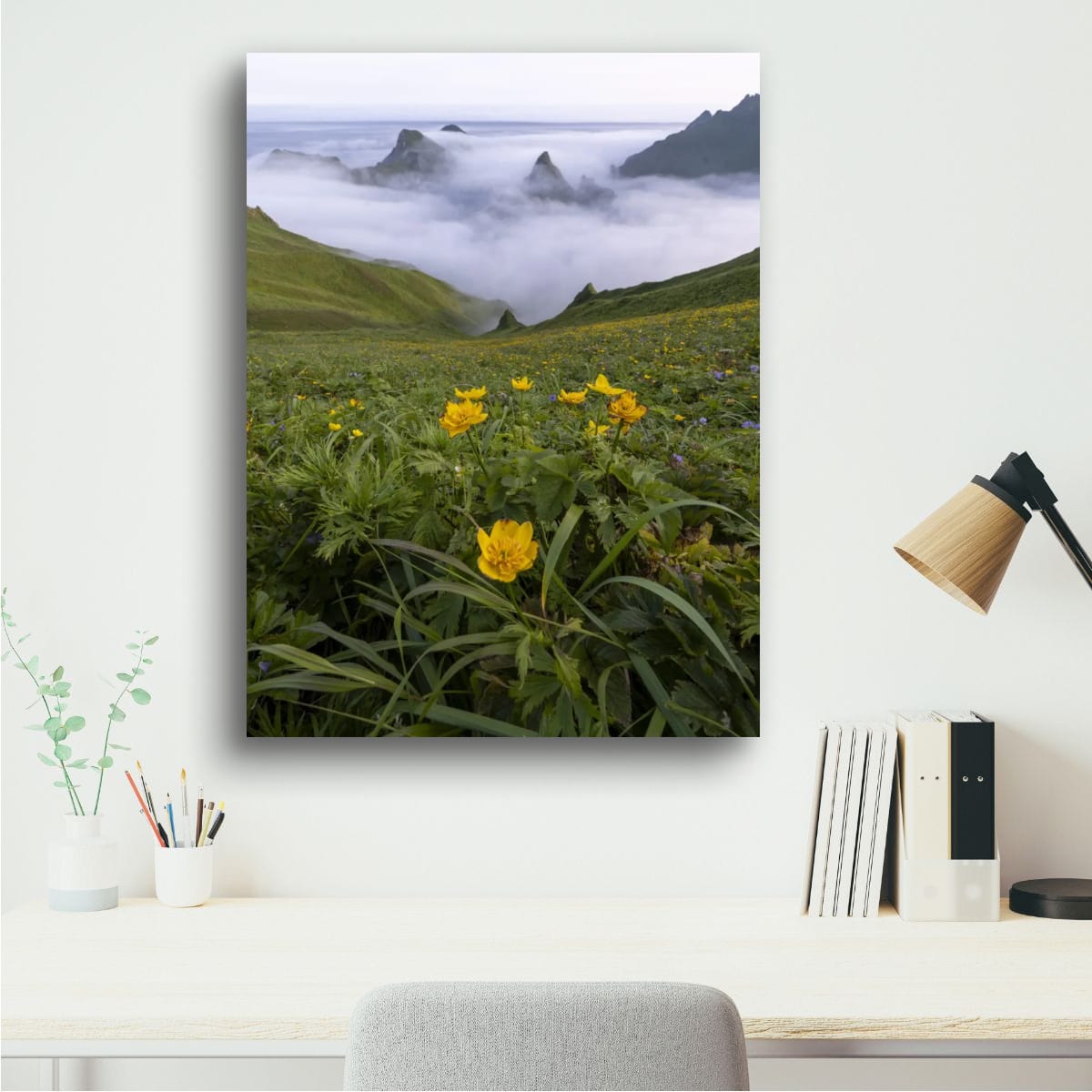 Meadow and Mist