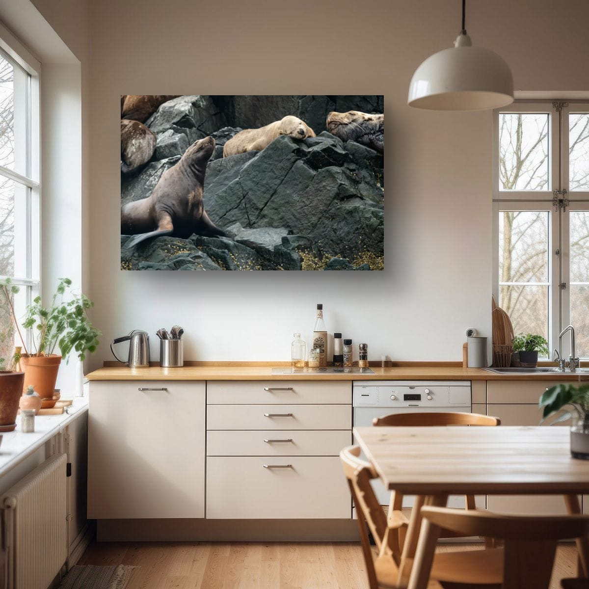 Hard Bed: Sea Lion