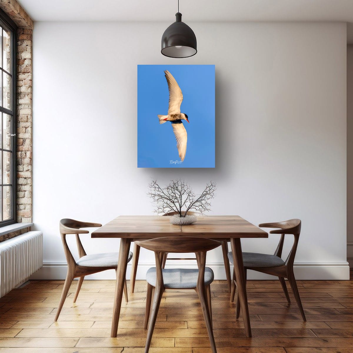 Against the Blue. Whiskered Tern