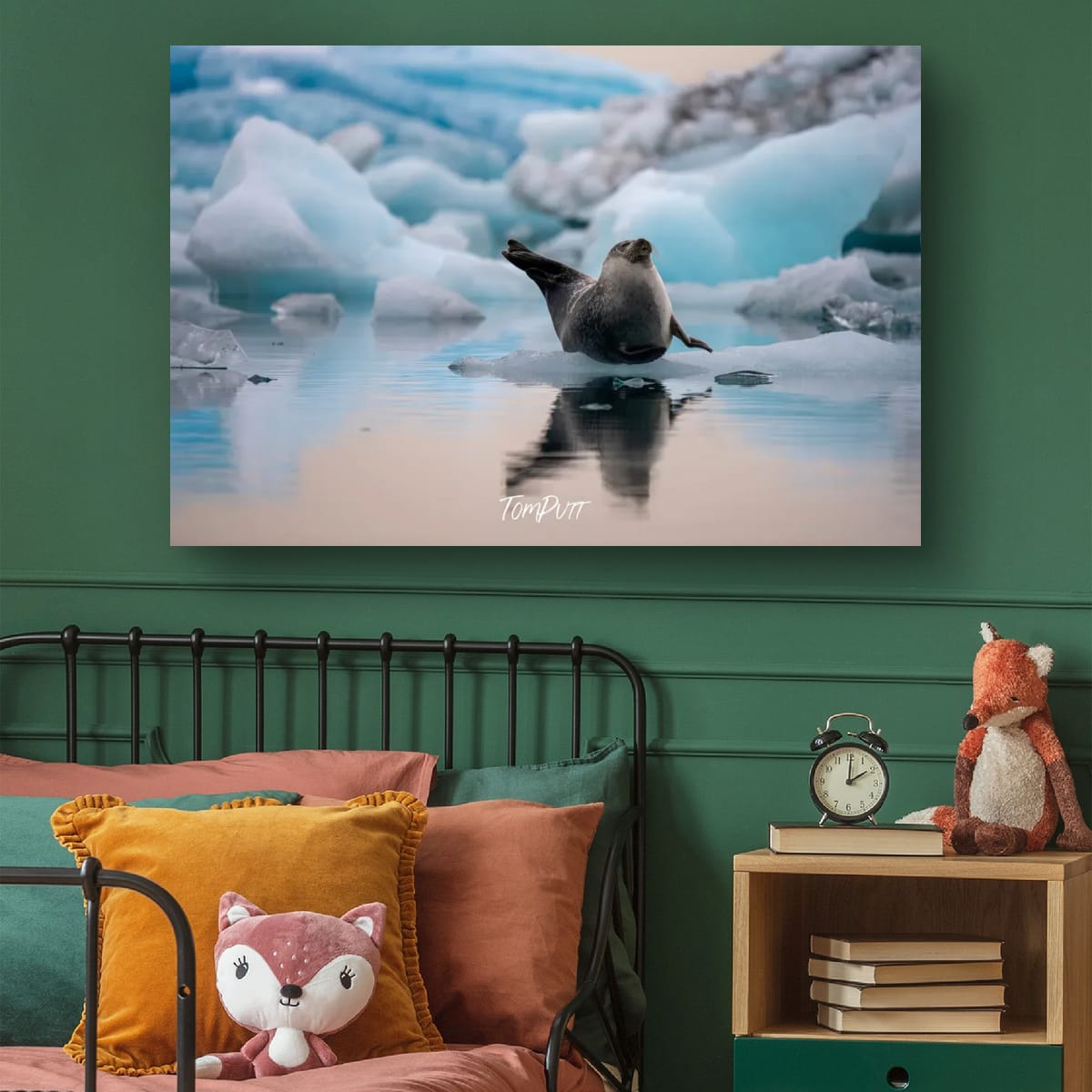 Icebound Seal, Iceland