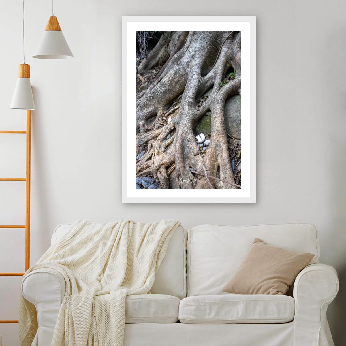 Tangled, Carnarvon Gorge