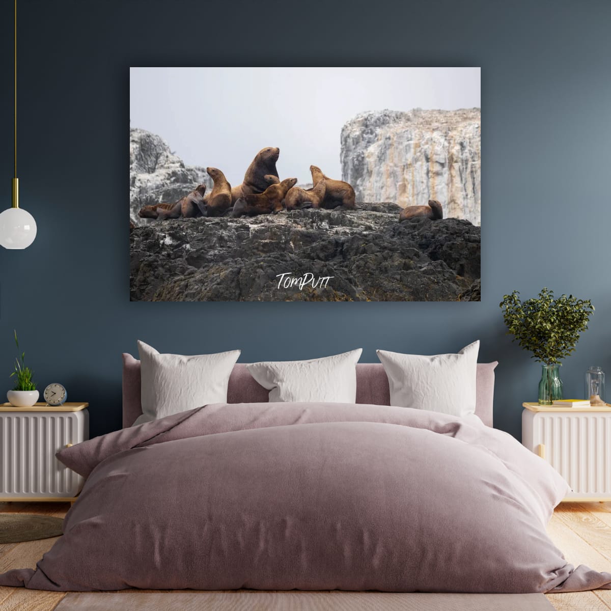 Mountain Top Meeting: Sea Lion