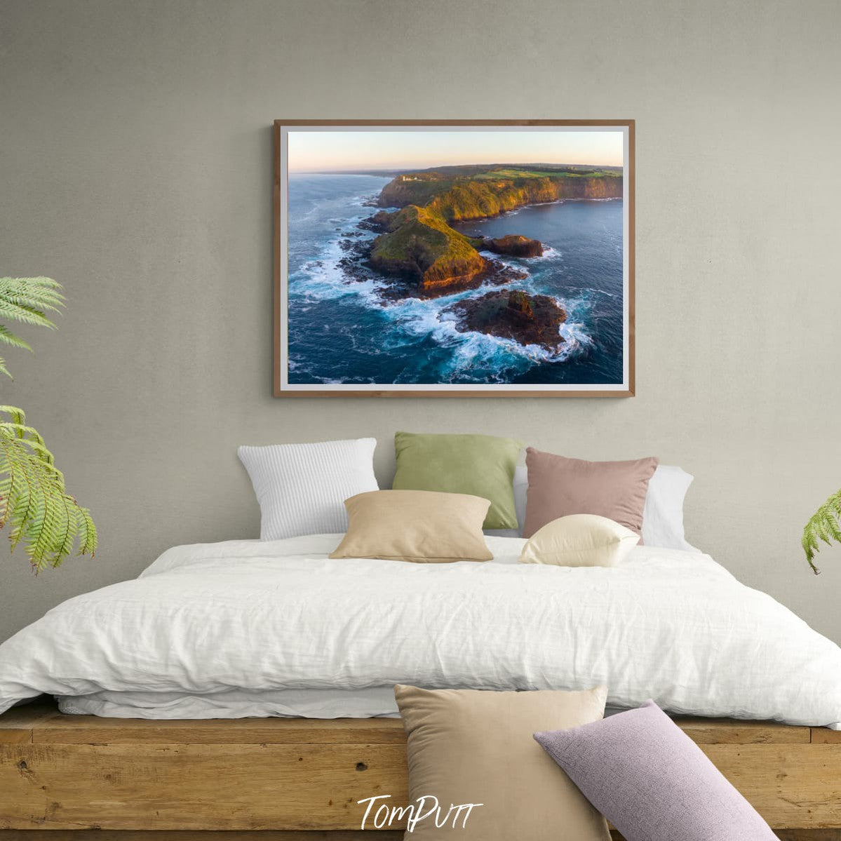 Coastal Harmony at Cape Schanck