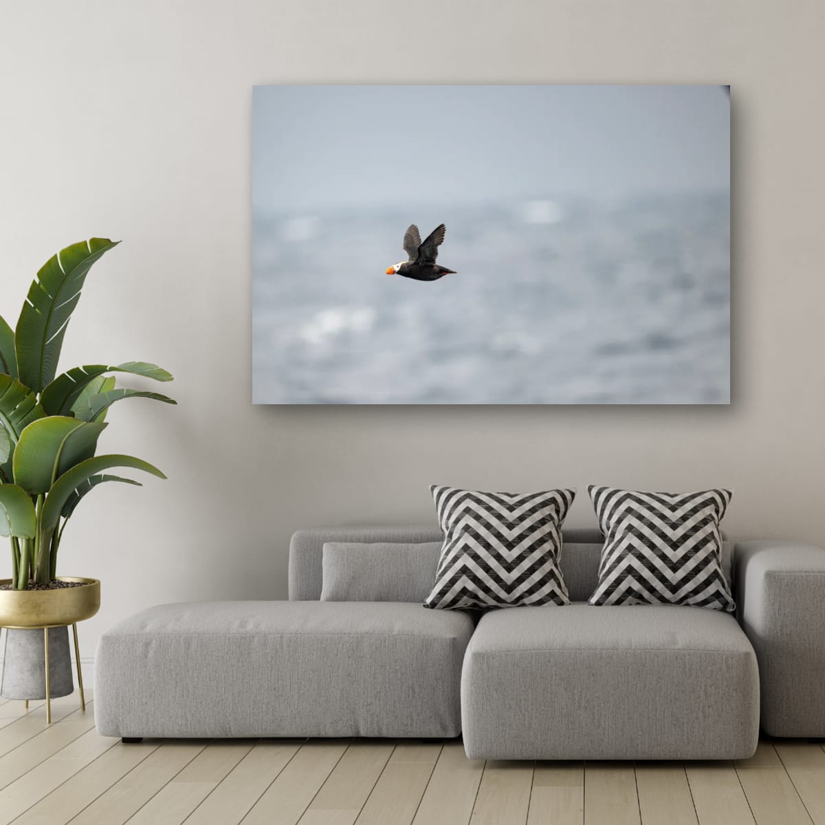 Arctic Flight: Tufted Puffin