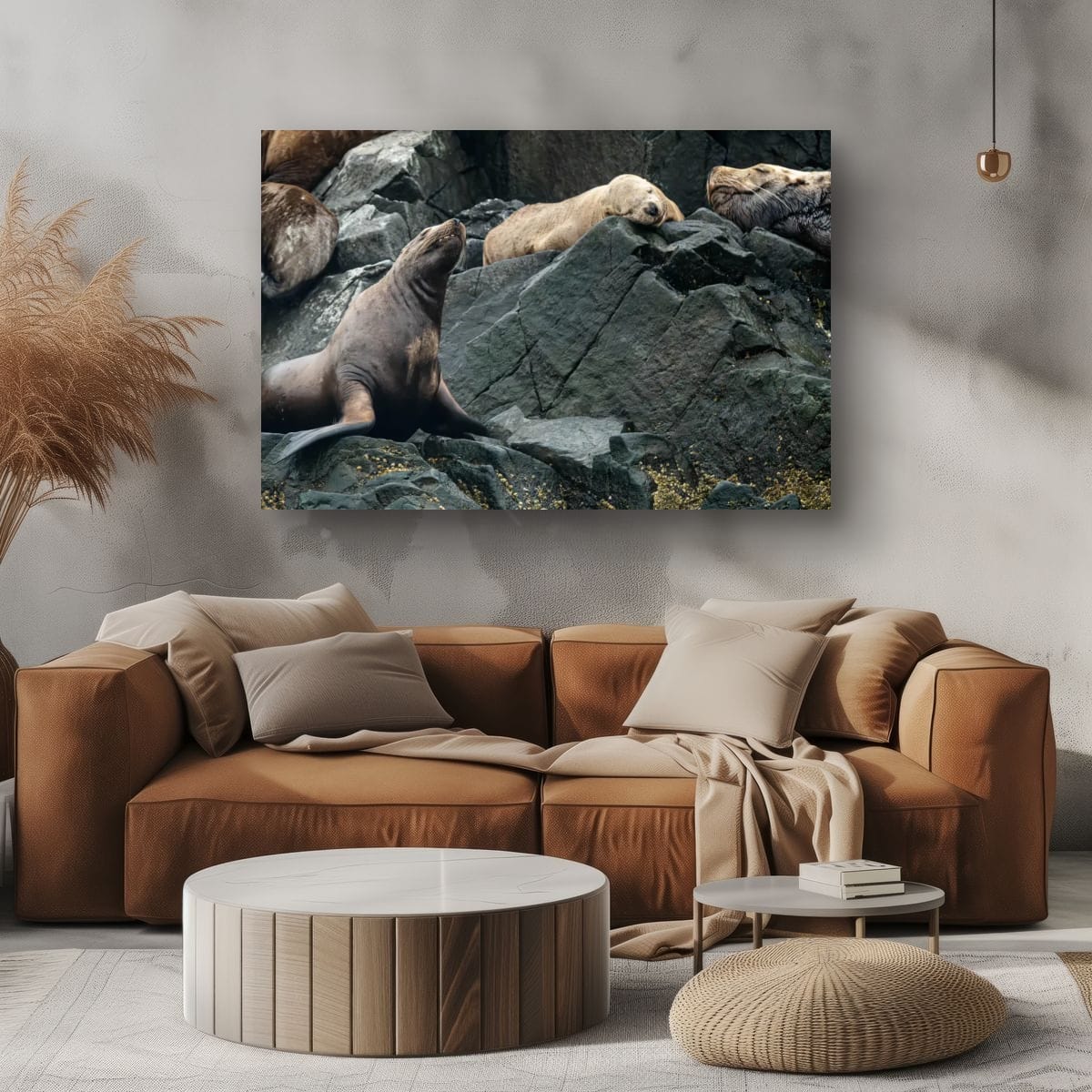 Hard Bed: Sea Lion