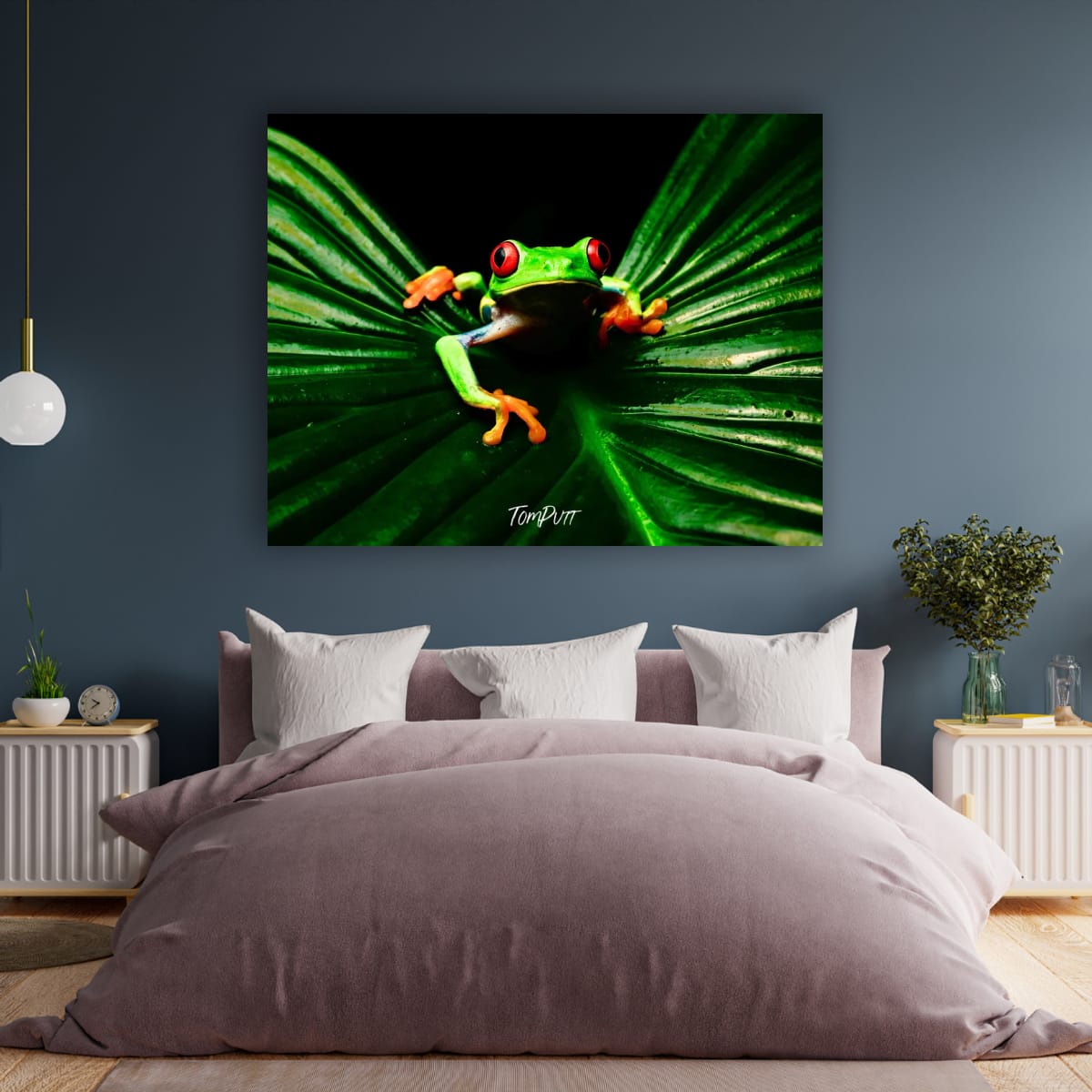 Red-eyed Tree Frog #5, Costa Rica