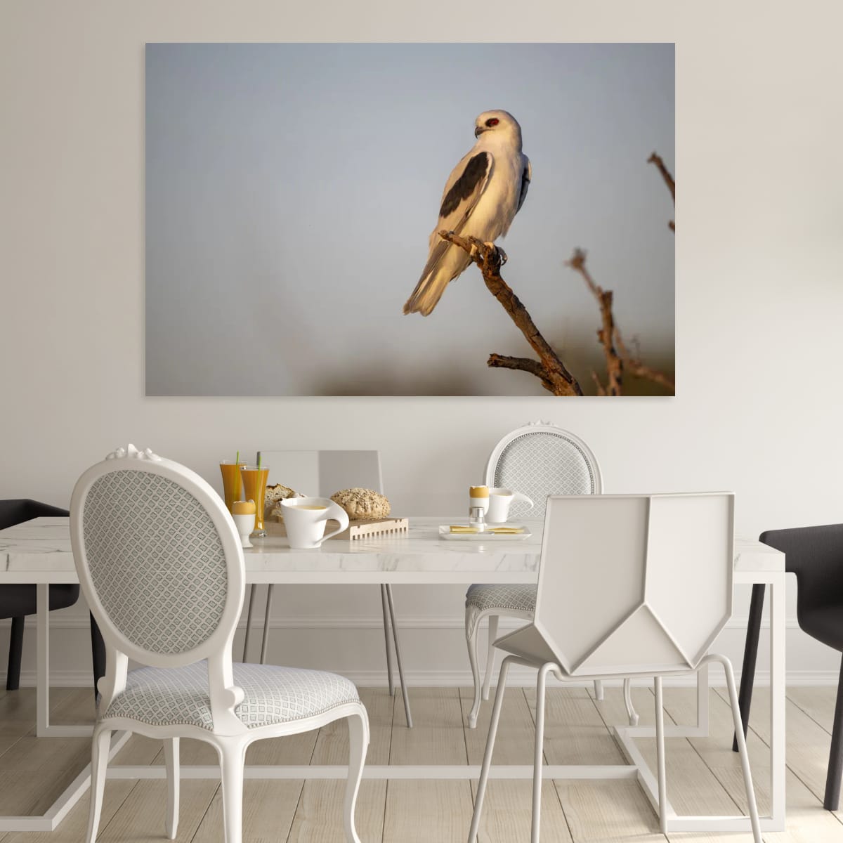 The Watchful Letter-Winged Kite