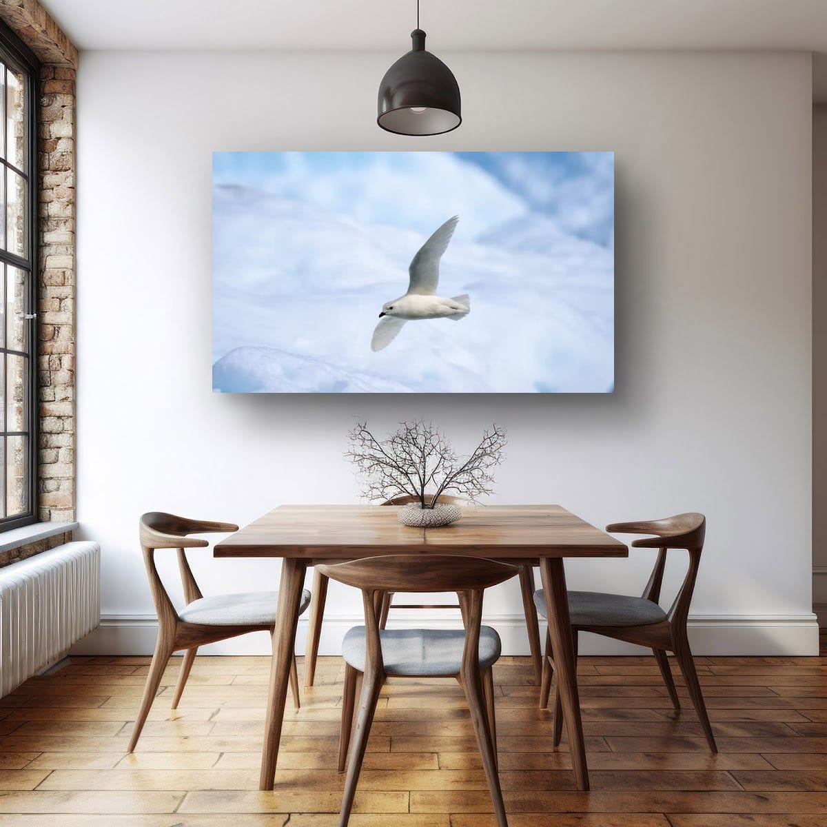 Snow Petrel in flight, Antarctica