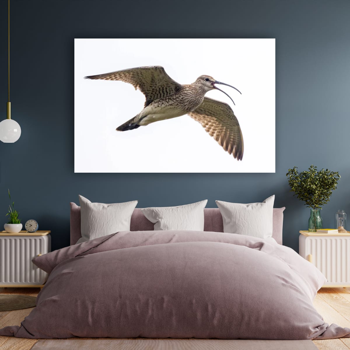 Full Flight. Whimbrel