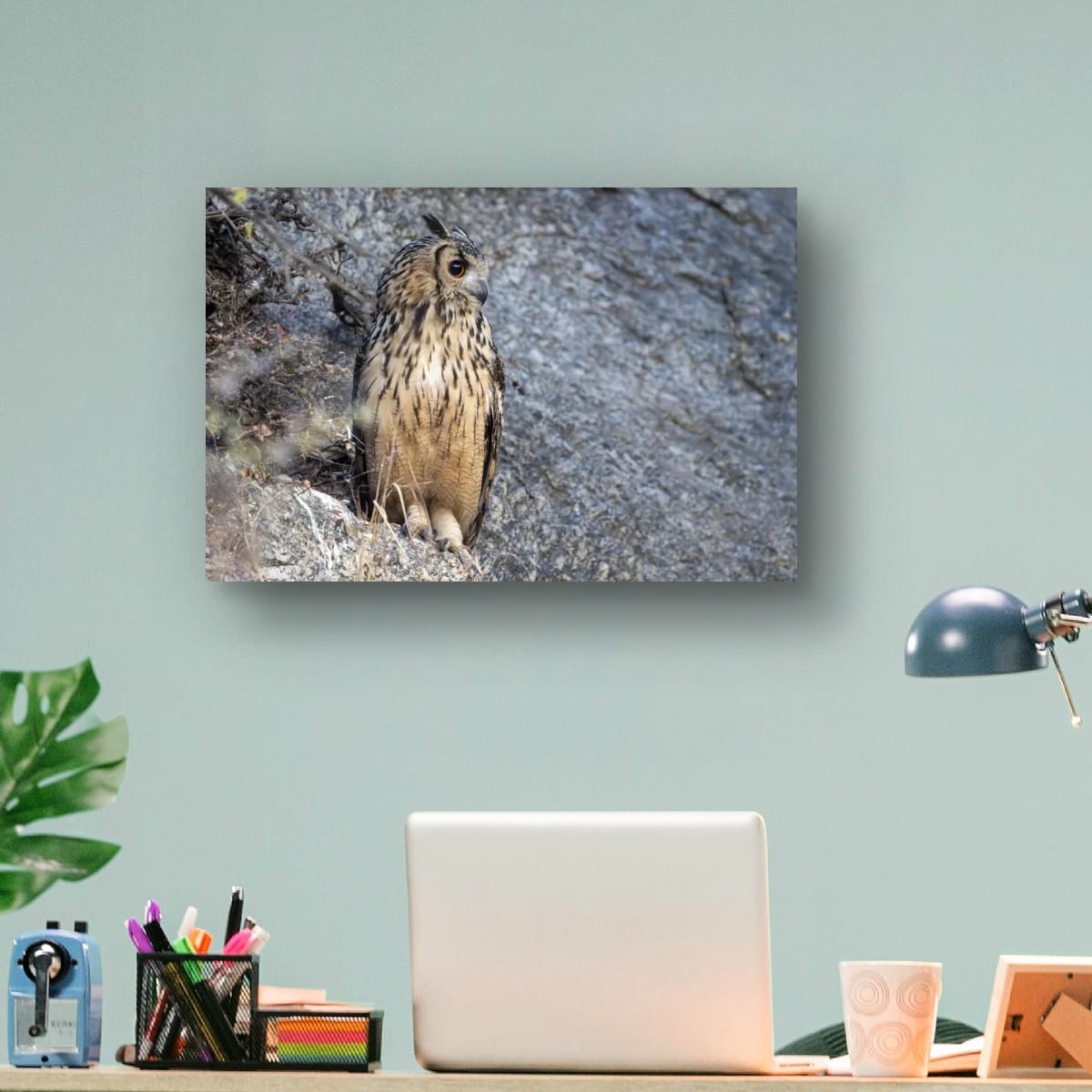 Indian Eagle-Owl Lookout