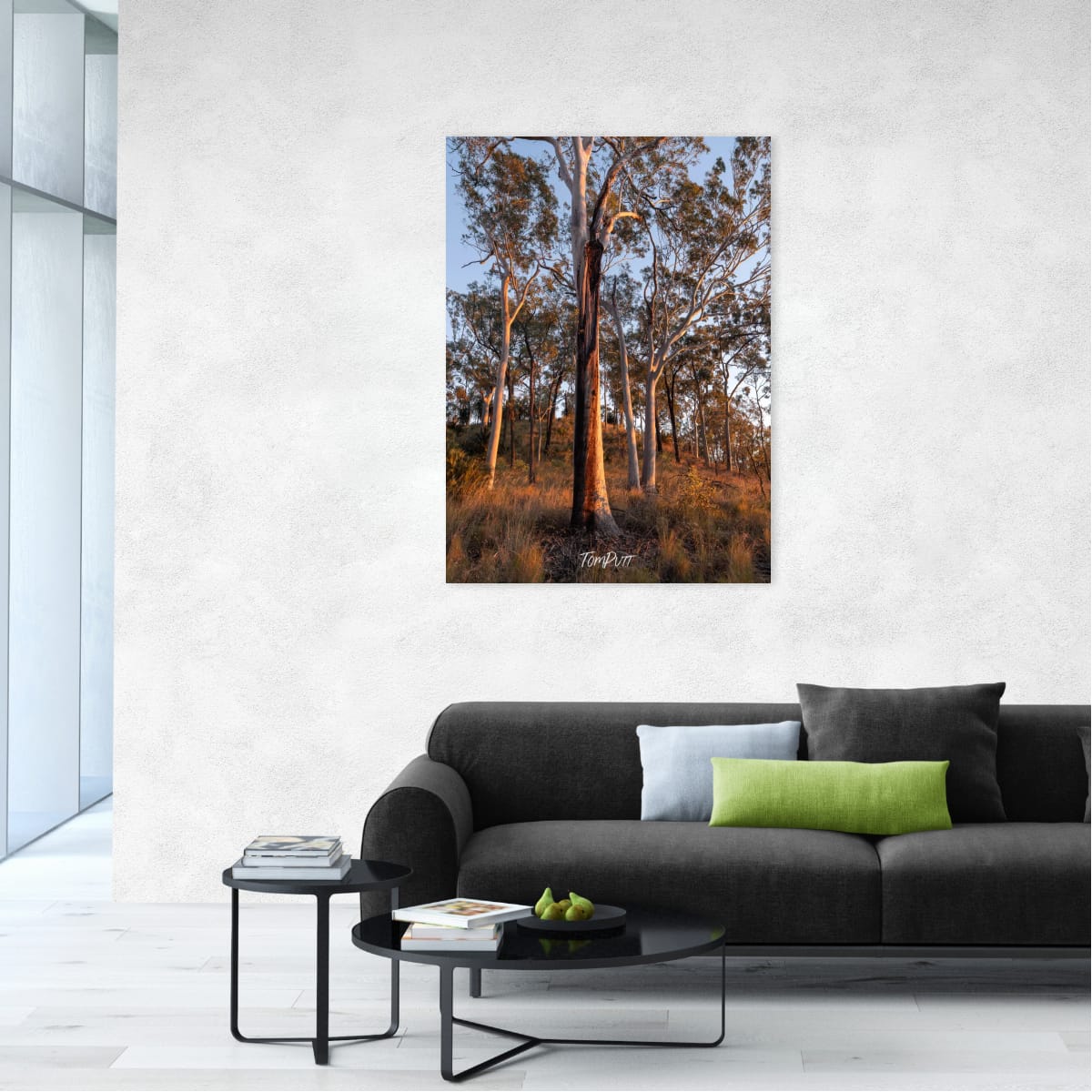Carnarvon Gorge at Dusk