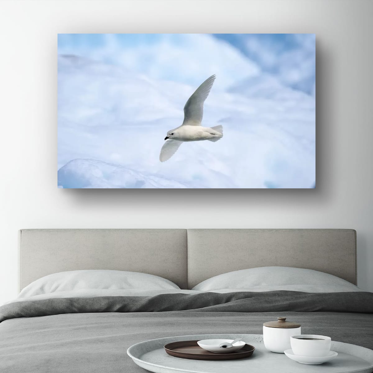 Snow Petrel in flight, Antarctica