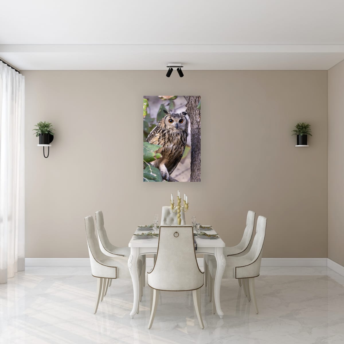 Gaze of the Indian Eagle-Owl