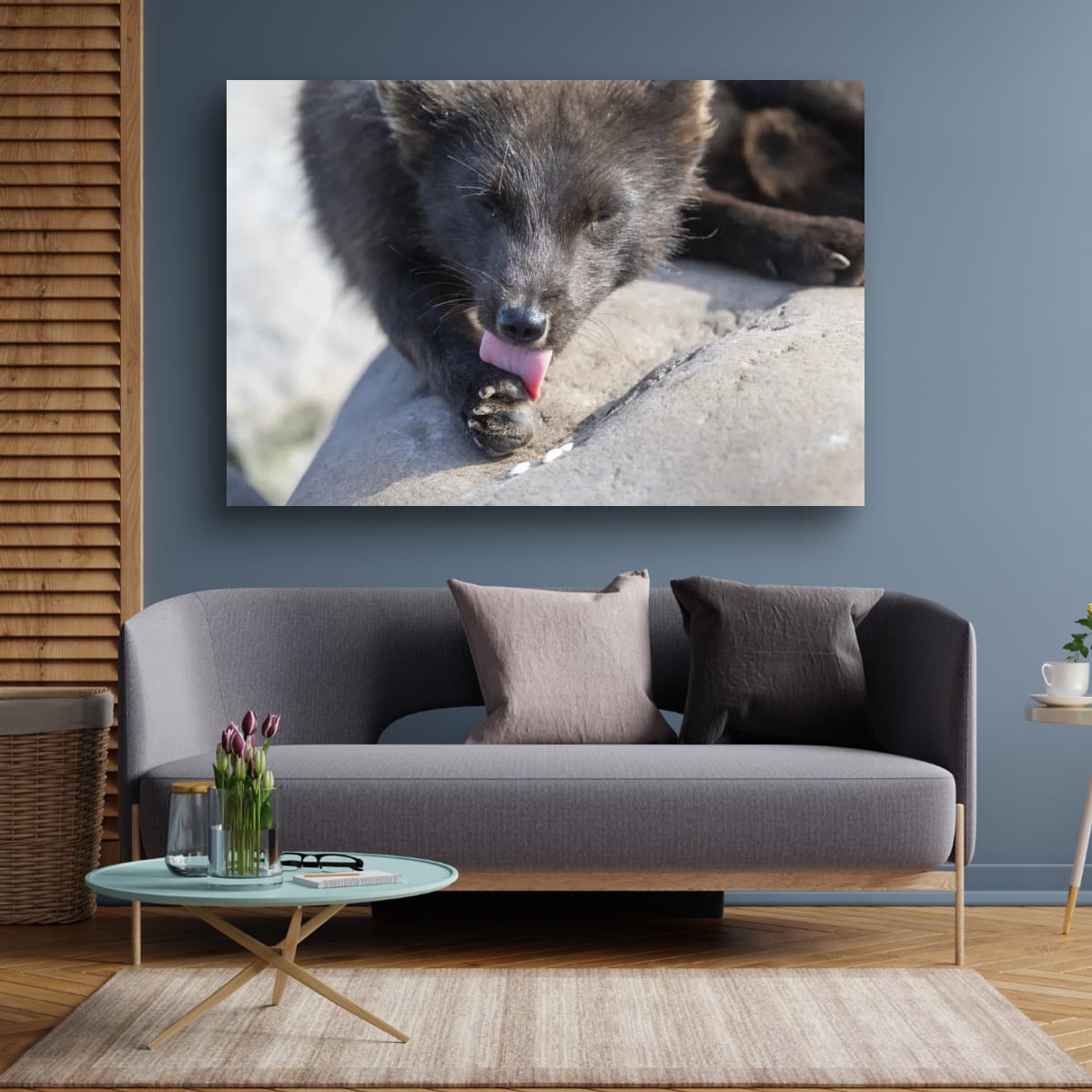 A Gentle Moment: Arctic Fox