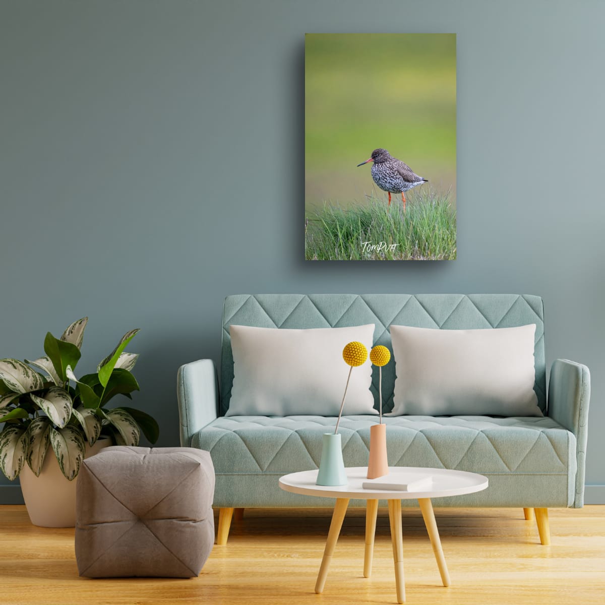Redshank Watcher