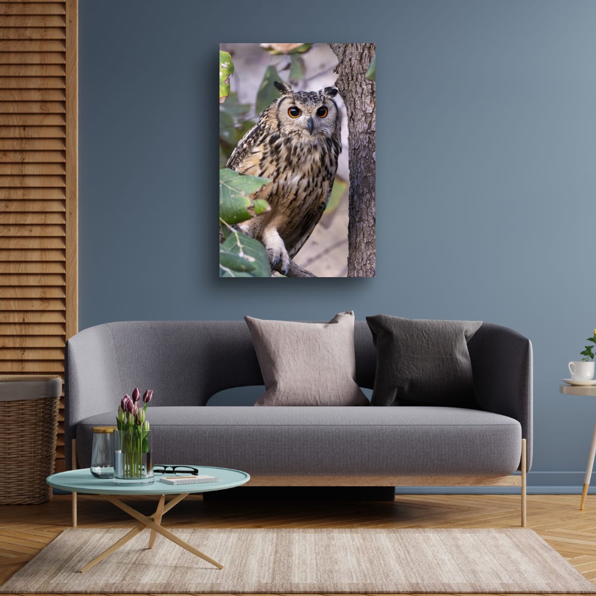 Gaze of the Indian Eagle-Owl