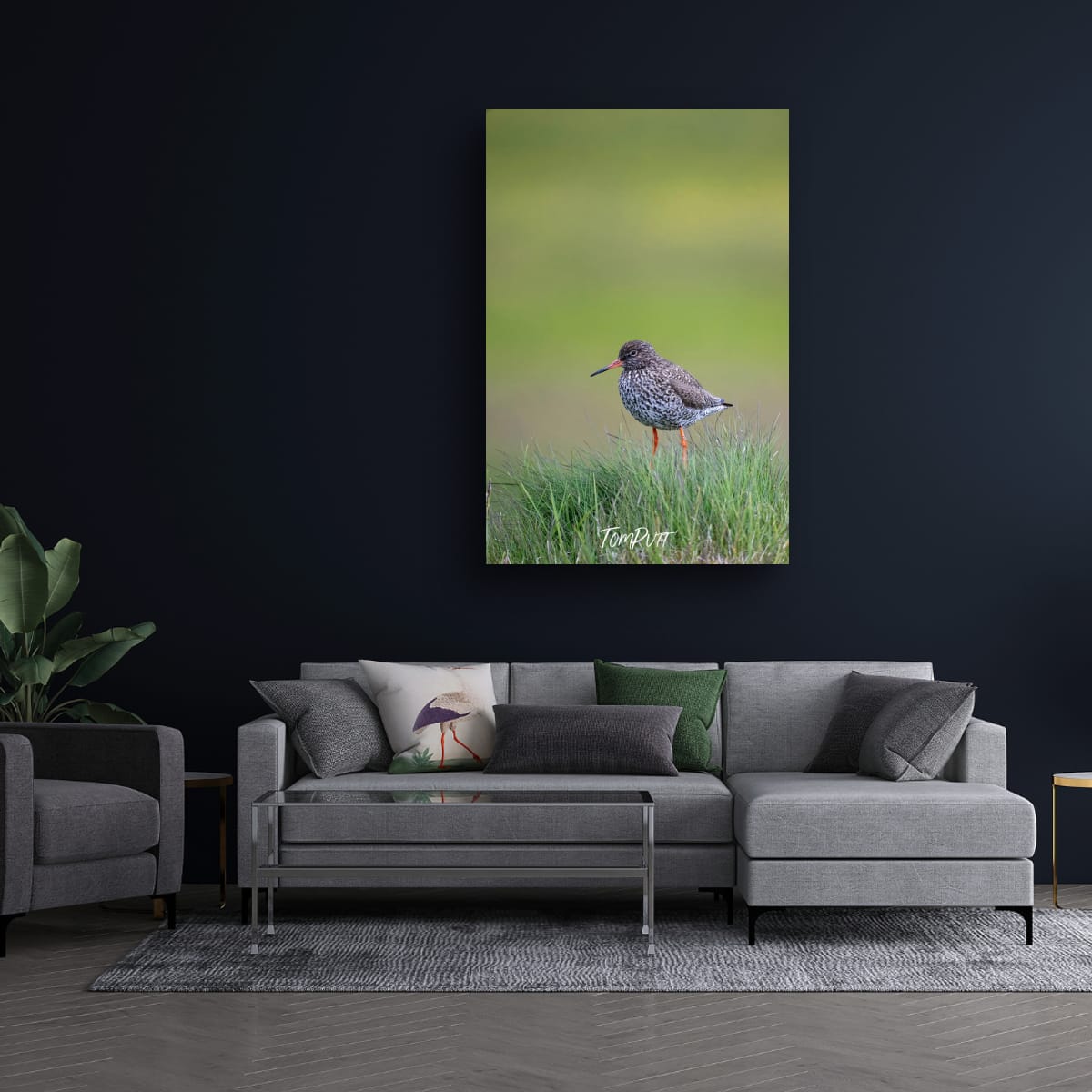 Redshank Watcher