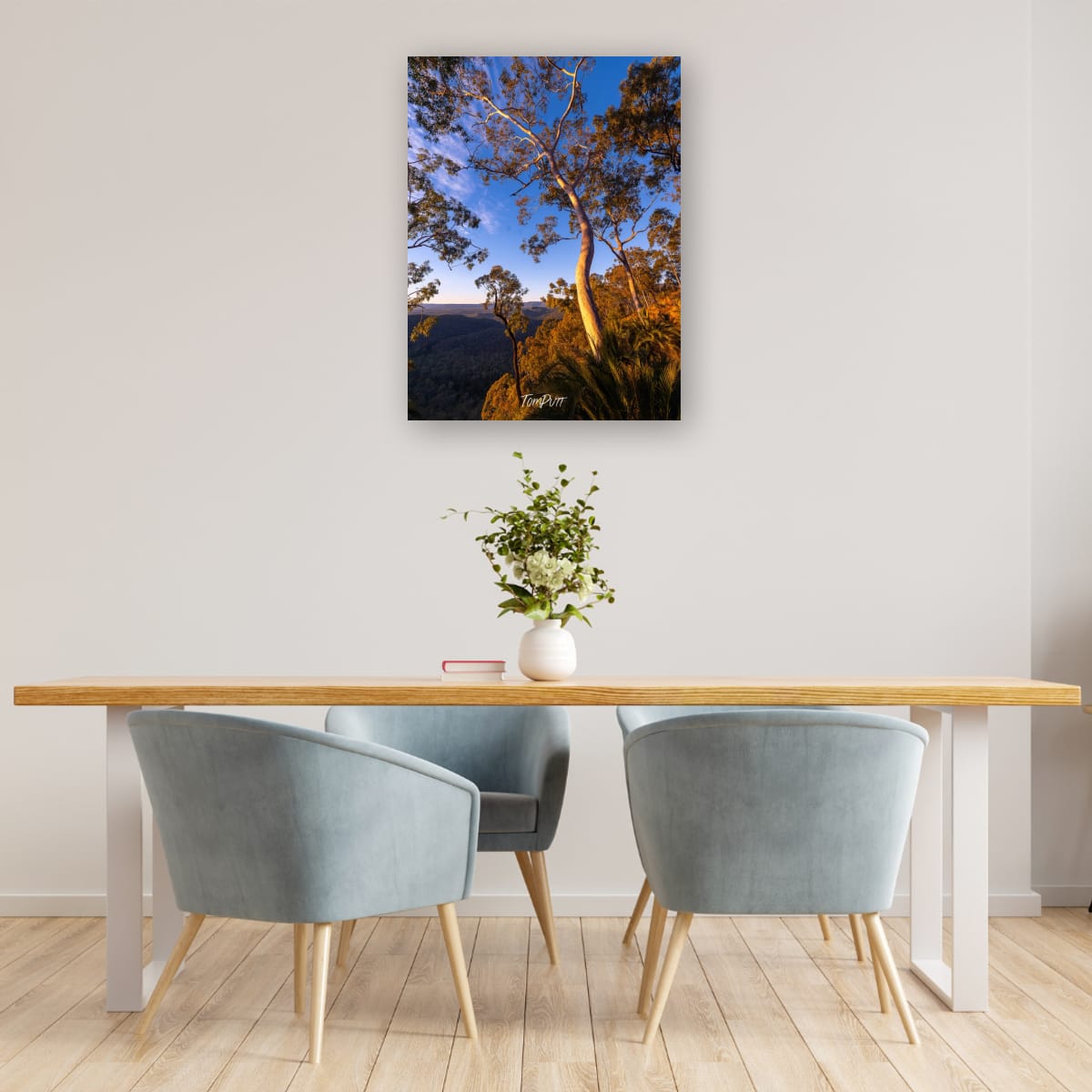 The Light of Carnarvon Gorge